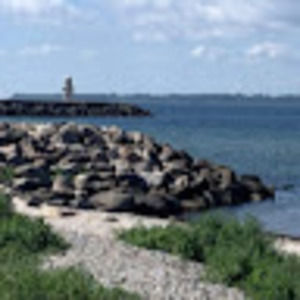 Meet your Posher, Paulina